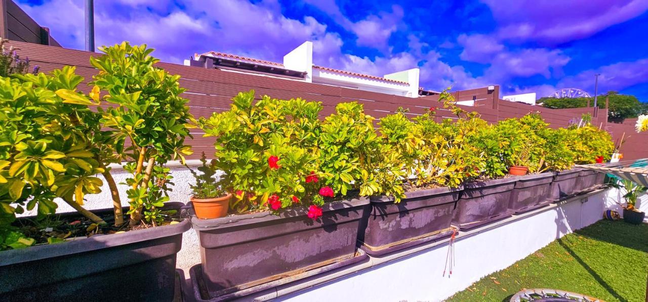La Bendita En Villa Maspalomas (Gran Canaria)